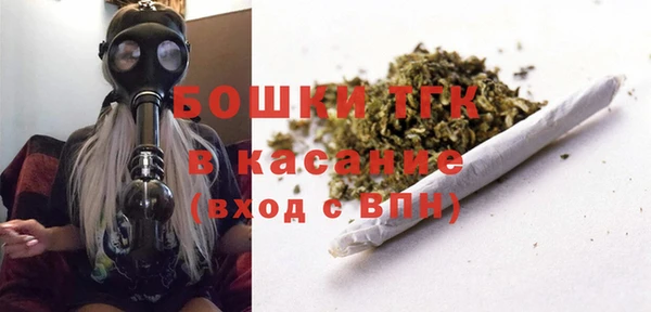 гашик Михайлов