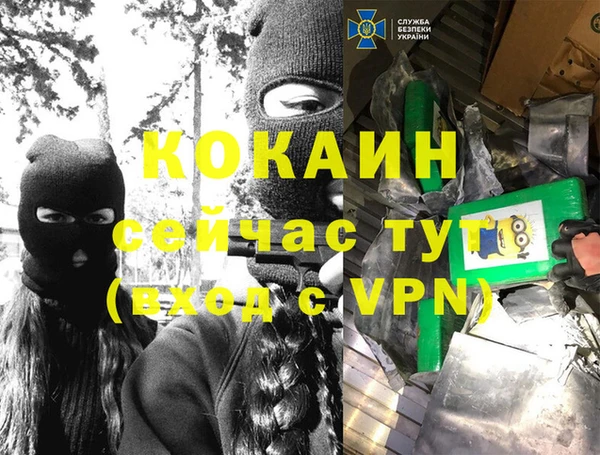 тгк Мегион