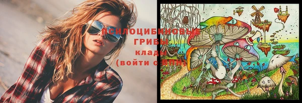 наркотики Медвежьегорск