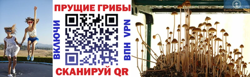 Псилоцибиновые грибы Magic Shrooms  Лихославль 