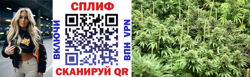 ОМГ ОМГ вход  Лихославль  Бошки марихуана THC 21% 